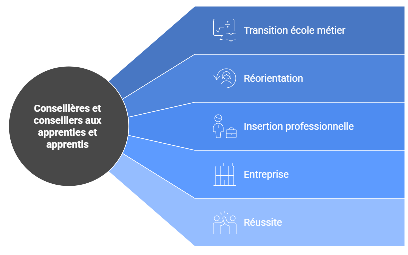 conseillères aux apprenties
