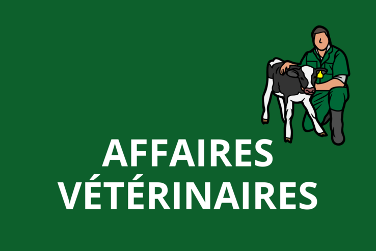 Visuel Affaires vétérinaires