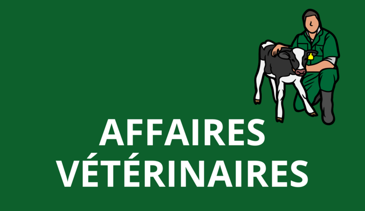 Visuel Affaires vétérinaires