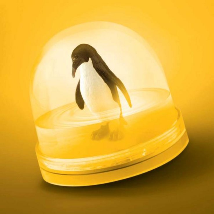 Illustration: un pingouin les pieds dans l'eau