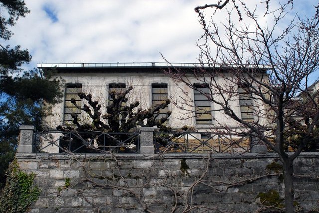 Façade de l'ancien Parlement vue de l'esplanade, côté cathédrale. Au premier plan, des arbres dégarnis.