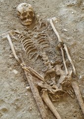 Un squelette humain à moitié dégagé de la terre. A hauteur du bras gauche, un grand bracelet oxydé. 