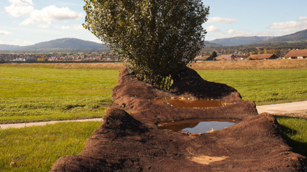 Maison d'arrêt et préventive La Croisée Orbe sculpture