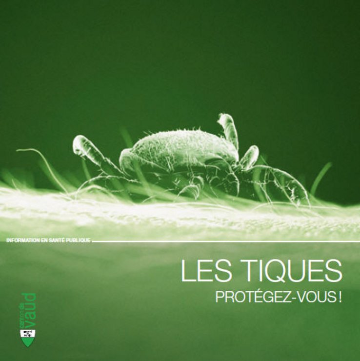 couverture de la brochure: tique en gros plan