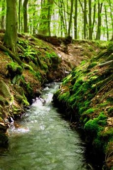 Rivière Rivière