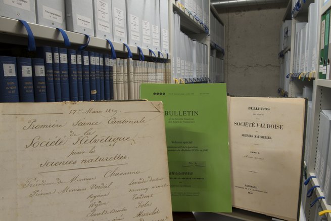 Documents d'archive