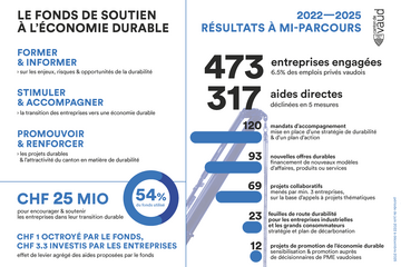 FSED rapport intermédiaire