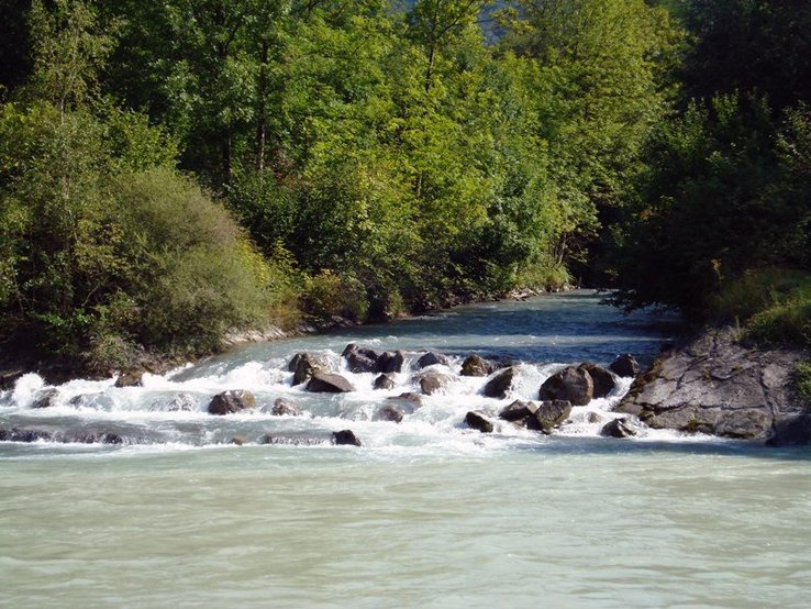 La rivière à son embouchure au Rhône, sous un rideau d'arbres.