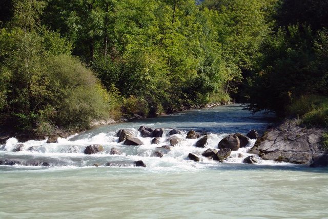 La rivière à son embouchure au Rhône, sous un rideau d'arbres.
