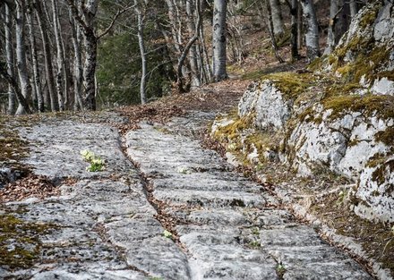 Via Salina, Vuiteboeuf