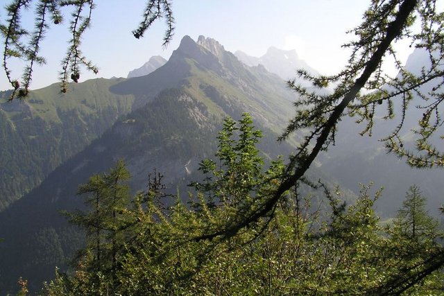 Paysage des Préalpes vaudoises (Lion d'Argentine)