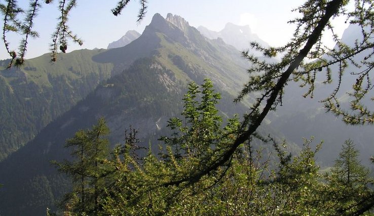 Paysage des Préalpes vaudoises (Lion d'Argentine)