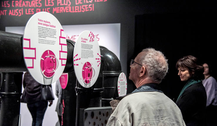 Deux personnes, un homme de dos et une femme de profil, lisent un panneau de l'exposition.