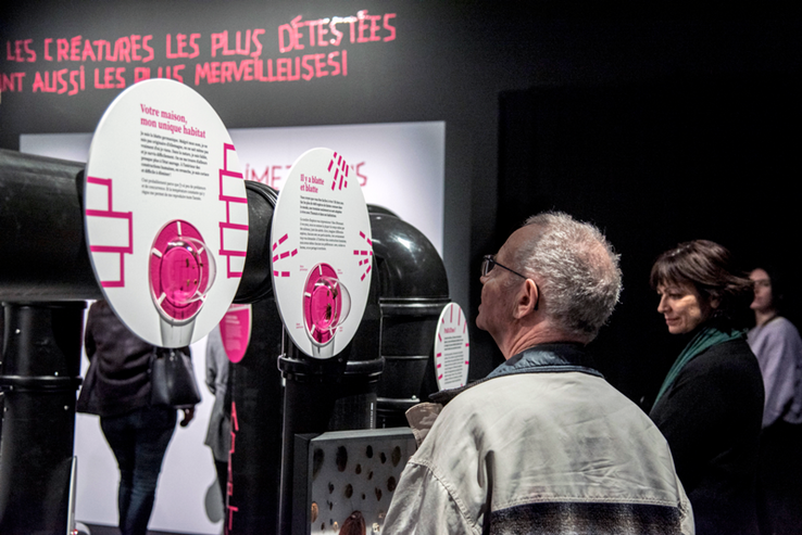 Deux personnes, un homme de dos et une femme de profil, lisent un panneau de l'exposition.
