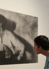 Un jeune visiteur regarde une grande photo exposée, tête penchée. 