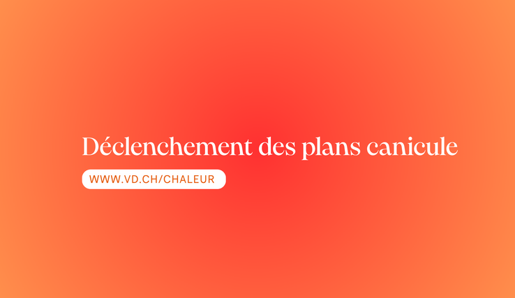 canicule