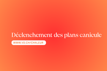 canicule
