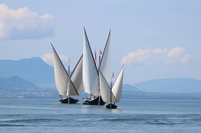 Neptune, Demoiselle, Aurore au large d'Ouchy, Régate du Centenaire, 2015