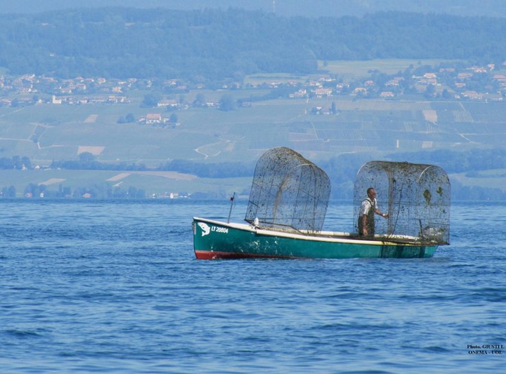 Photo Giustil Onema, UOL