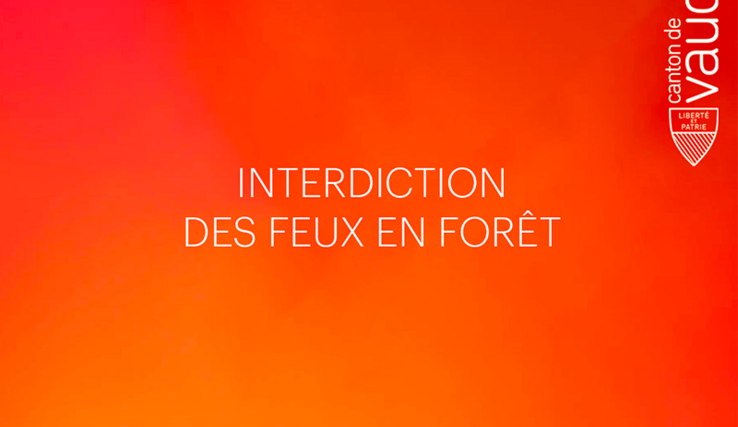 Simple texte sur fond de couleur. On lit "Interdiction des feux en forêt"