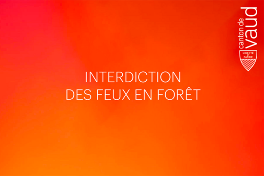 Simple texte sur fond de couleur. On lit "Interdiction des feux en forêt"