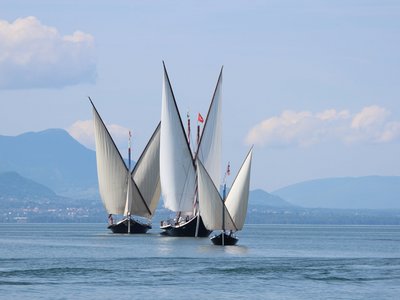 Neptune Demoiselle et Aurore à Ouchy, Régate du Centenaire, 2015, © Roland Grunder