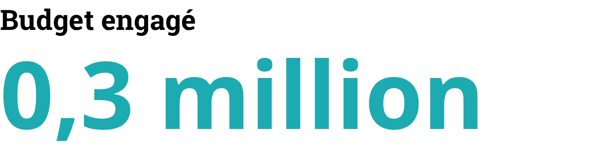 Budget engagé: 0.3 millions
