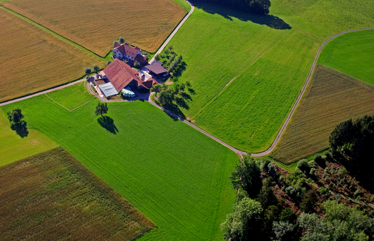 vue aérienne d'une ferme entourée de champs et d'un chemin (illustration)