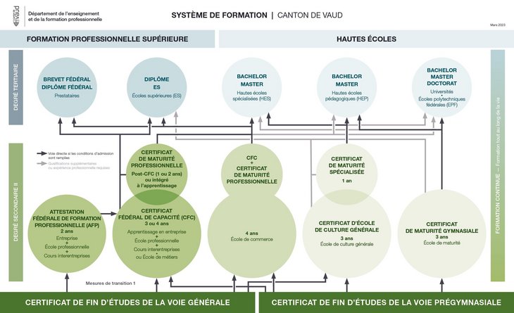 Schéma de la formation - canton de Vaud