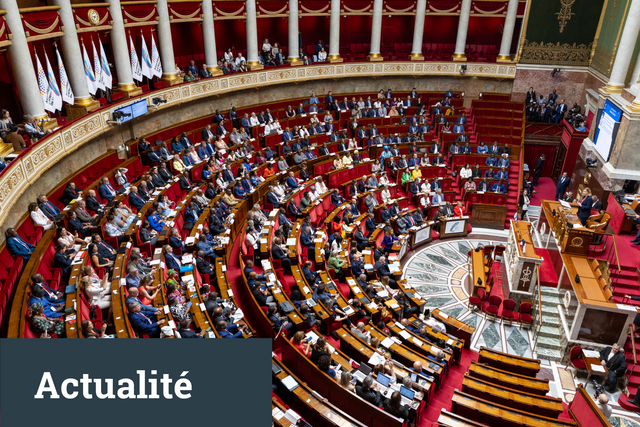Les participant.e.s à l’Assemblée plénière de l’APF, Paris le 12 juillet 2025