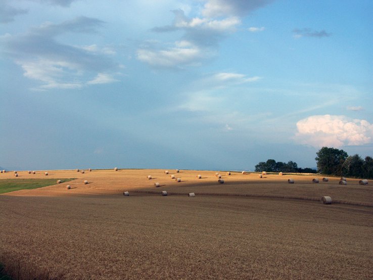 champs avec bottes de paille en été dans la campagne vaudoise