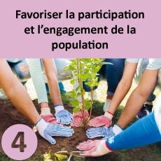 participation