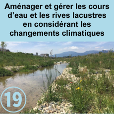 Fiche 19