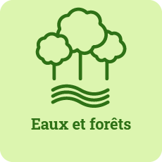 Picto Eaux et forêts