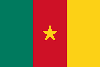 Drapeau Cameroun