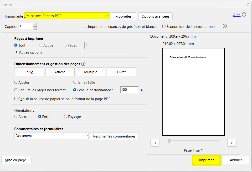 Imprimer au format PDF