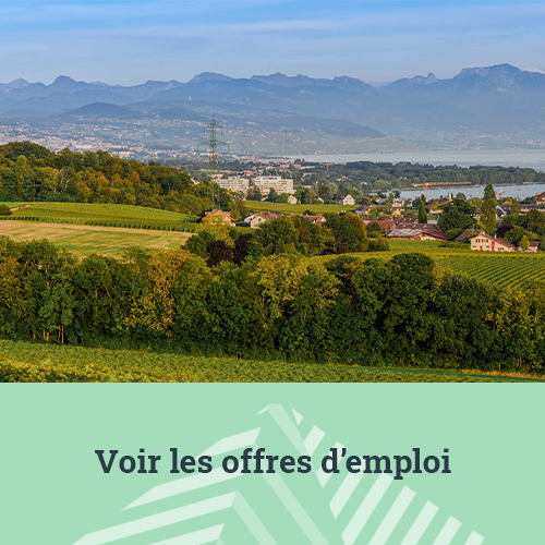 Portail des offres d'emploi