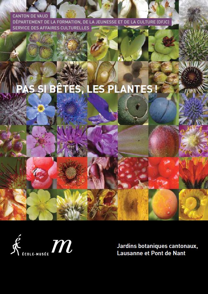 dp 52 Pas si bêtes les plantes