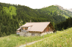 Chalet d'alpage, Bex