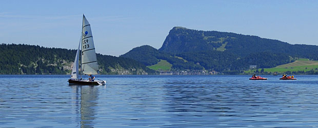 Extrait de législation