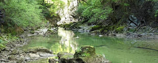 Extrait de législation