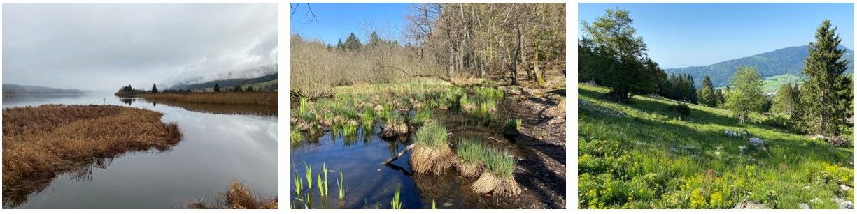 Sites naturels protégés