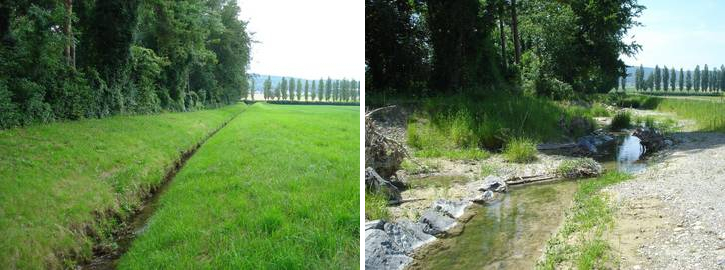 Exemple de renaturation: avant (à gauche) et après (à droite) Exemple de renaturation: avant (à gauche) et après (à droite)