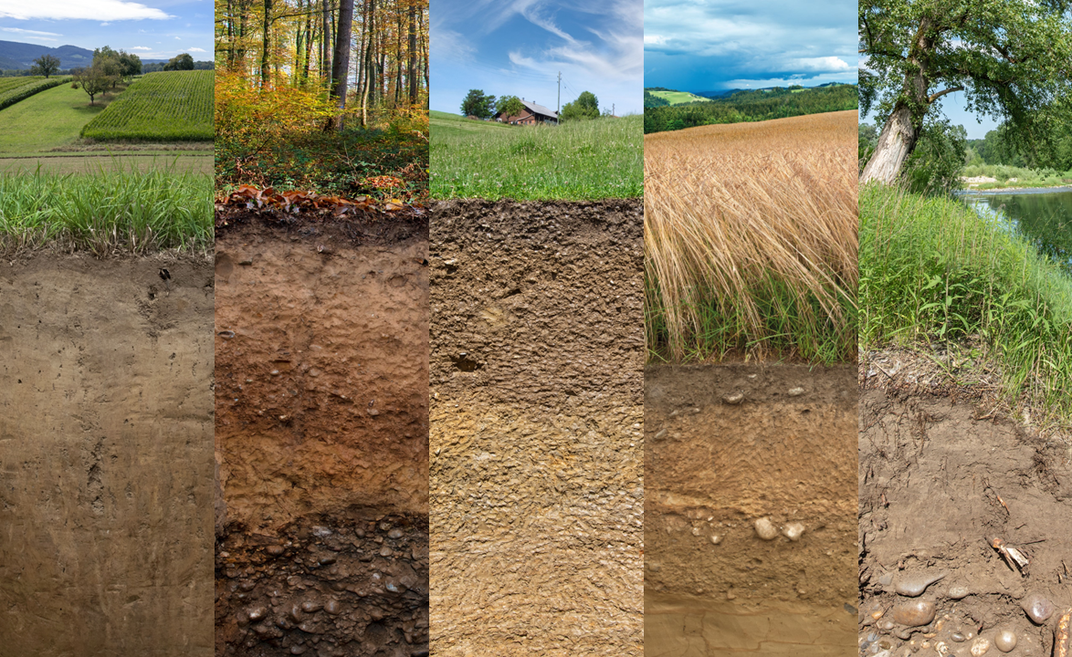 source : Société suisse de pédologie