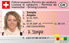 Specimen de permis de conduire