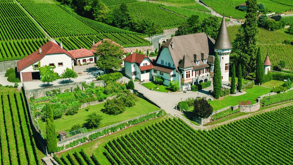 salle-particuliere-maison-blanche-yvorne